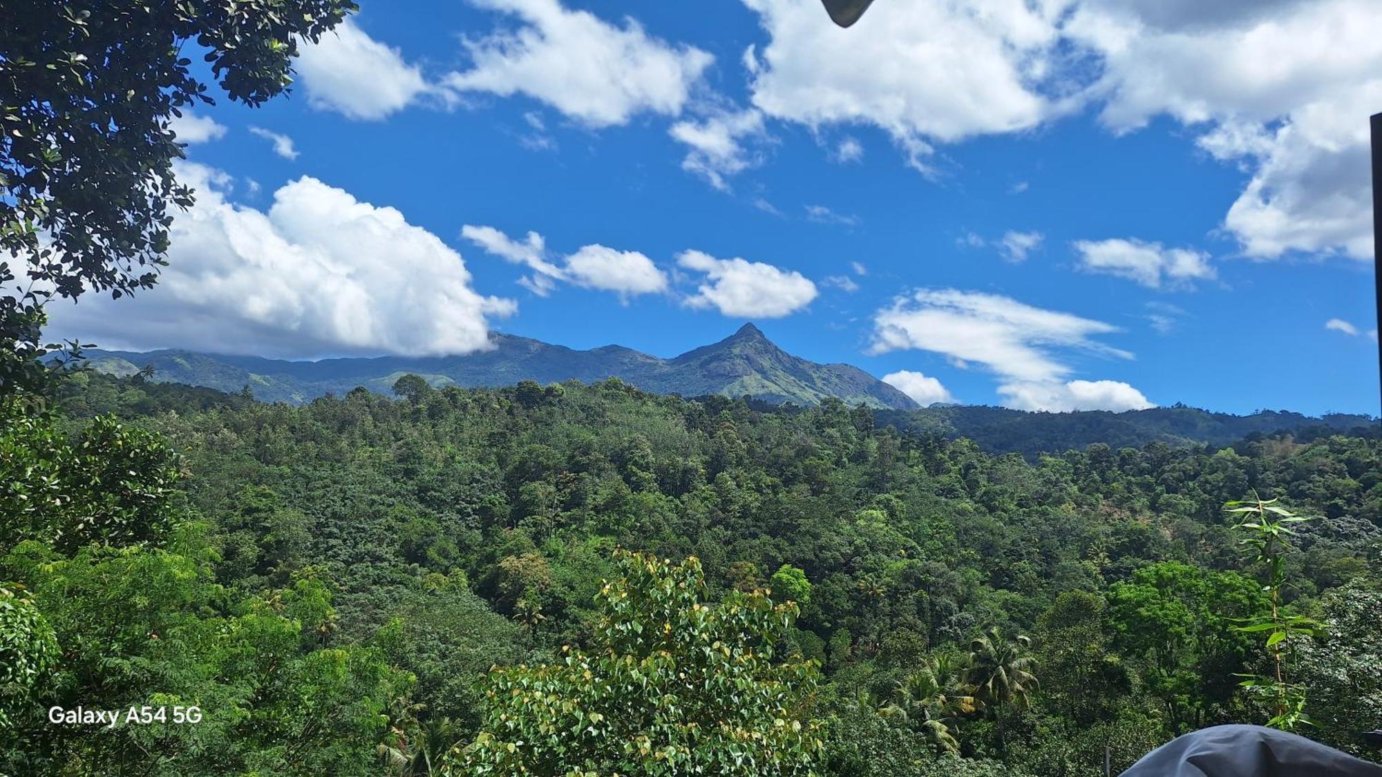 Winterhome Homestay Munnar Zimmer foto